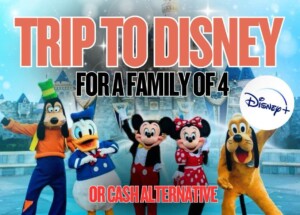 Trip to Disney for family of 4