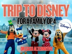 Trip to Disney for family of 4