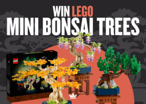 Mini Bonsai Trees