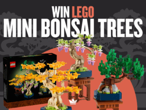 Mini Bonsai Trees
