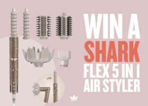 Shark 5 in 1 air Styler